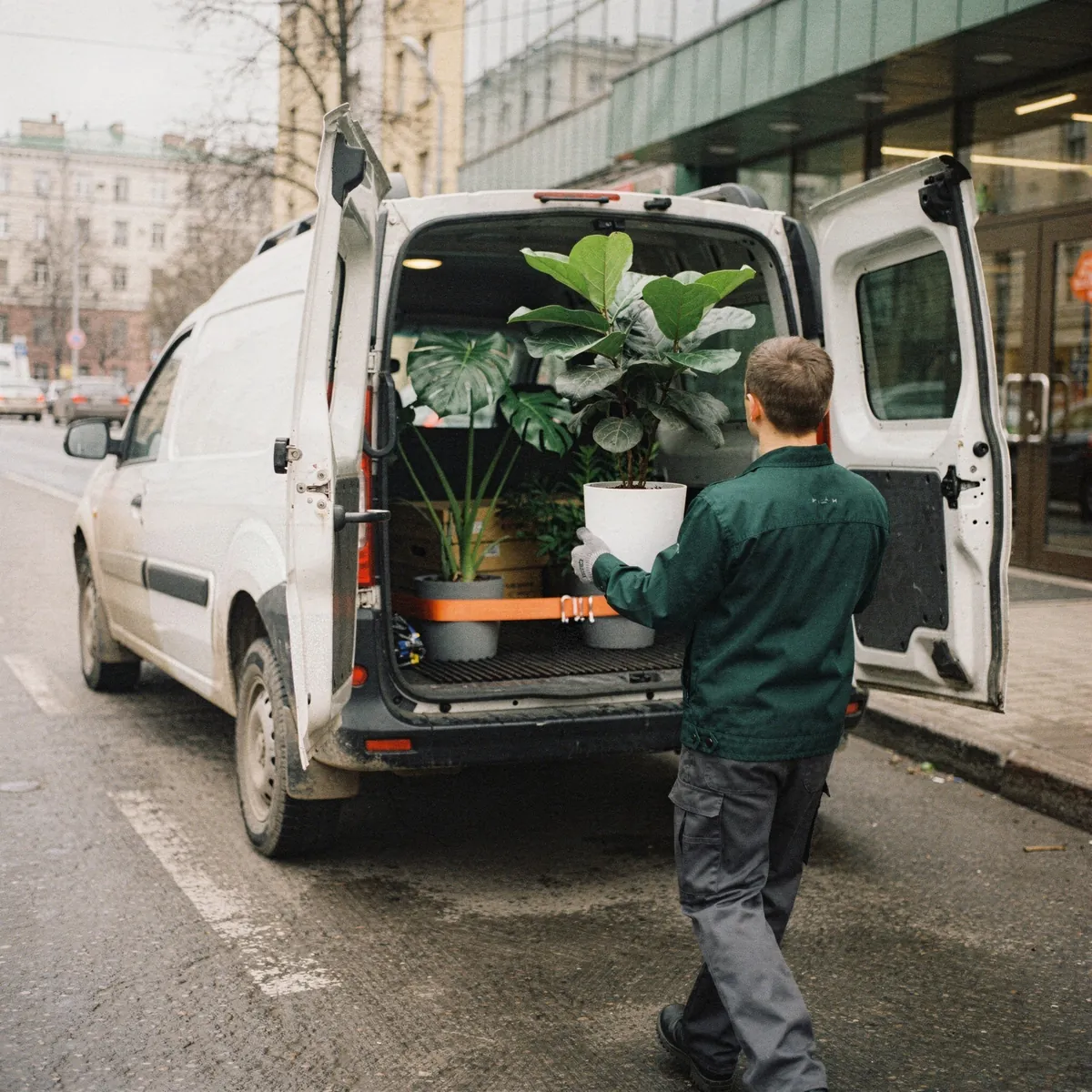 Команда Musa Plants заносит растения в кашпо на объект